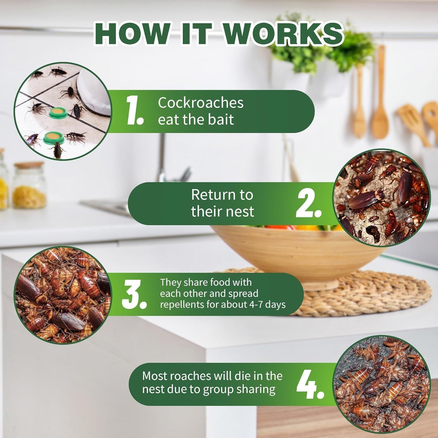 Star-Rate Natural Eco-Friendly Cockroach Killer Gel Trap (Pack of 24 Tablets)