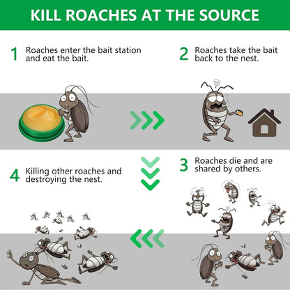 Star-Rate Natural Eco-Friendly Cockroach Killer Gel Trap (Pack of 24 Tablets)